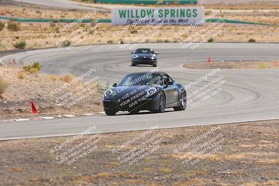 media/Oct-25-2025-West Coast Racing (Sat) [[9fdcbcd09c]]/Novice group/Turn 3/